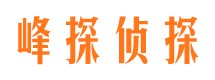 河北区捉小三公司